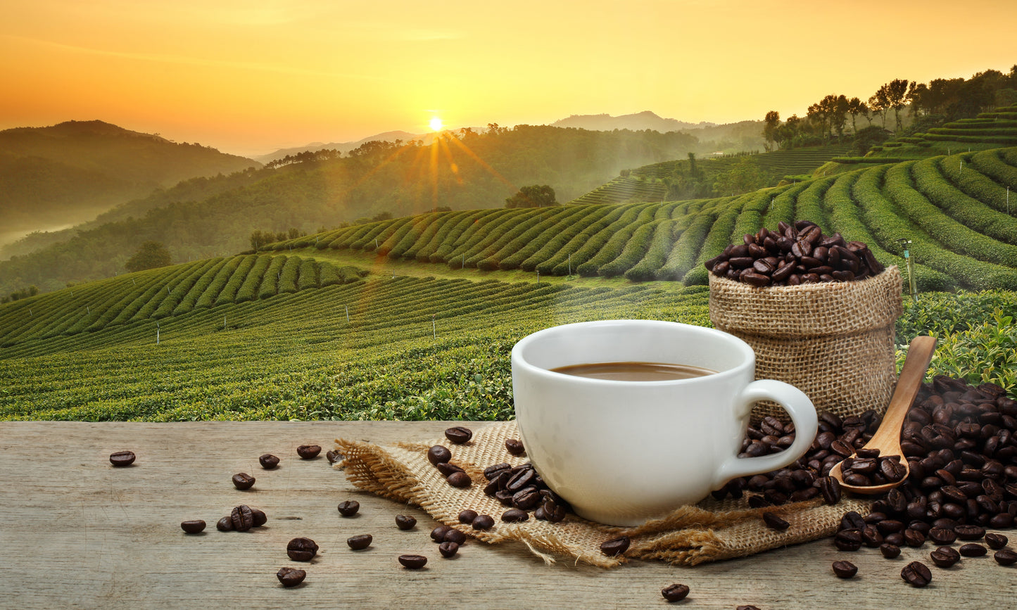 5 Ounces Dark Roasted Reduced Caffeine Blend